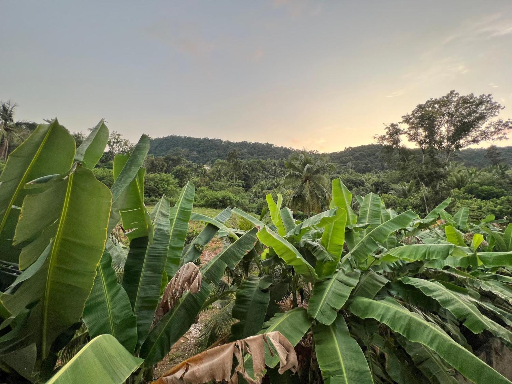 Bungalow Sang Tuoi Mountains Phu Quoc Exterior photo